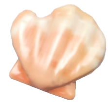 손상된 바닷조개